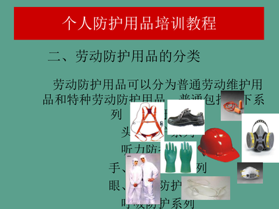 個人防護用品使用規范與網絡技術服務安全培訓